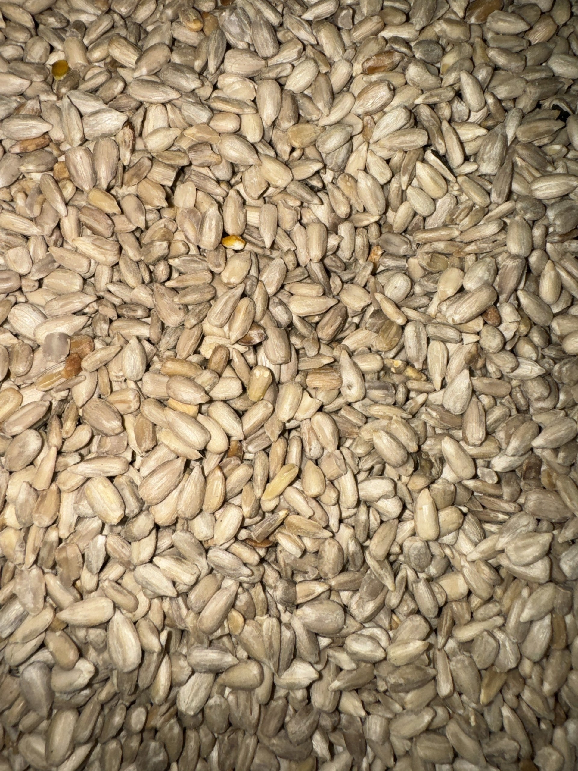 Bartholomews Sunflower Hearts - 13KG image 0