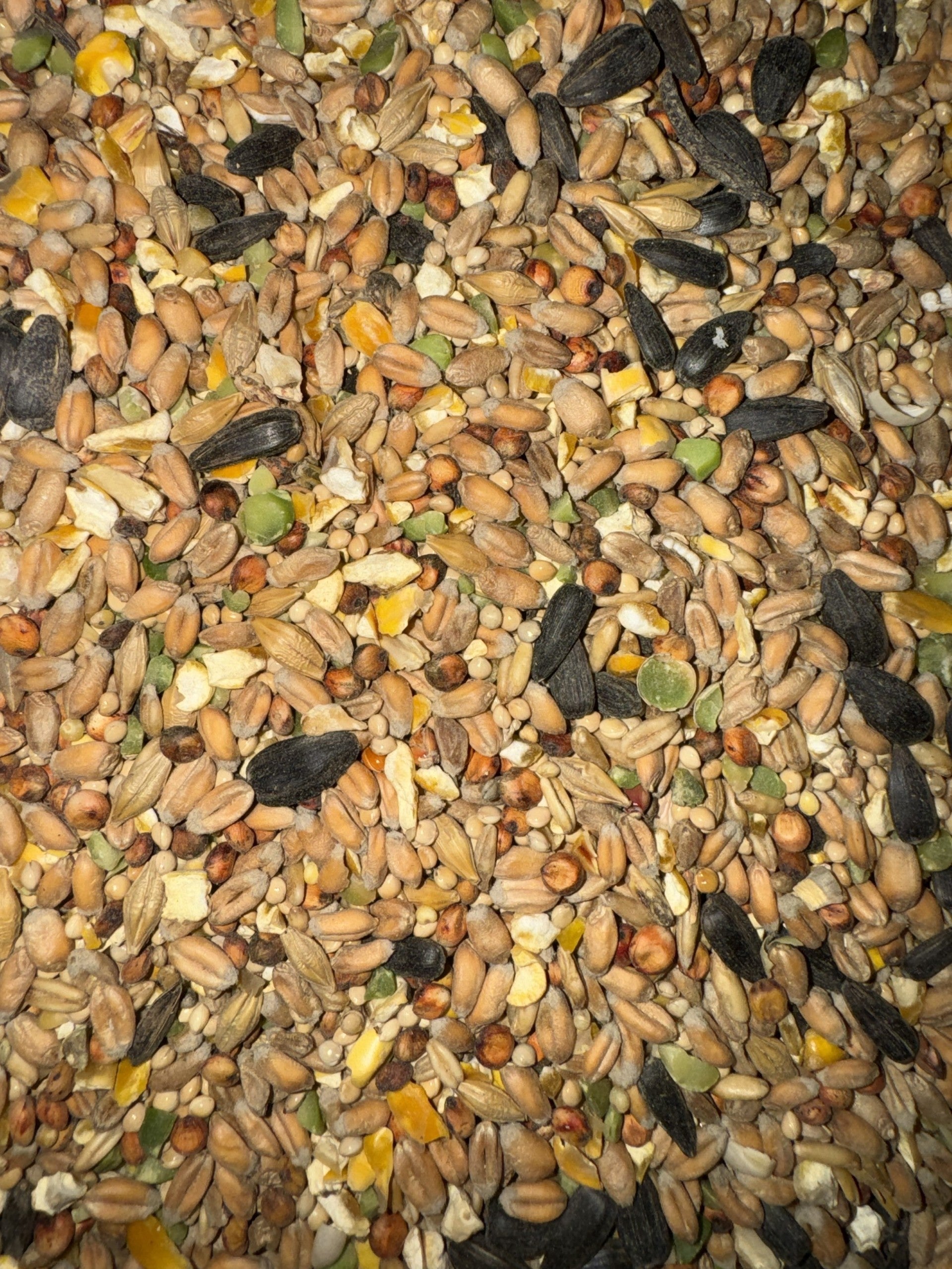 Bartholomews F1 Wild Bird - 20KG image 0